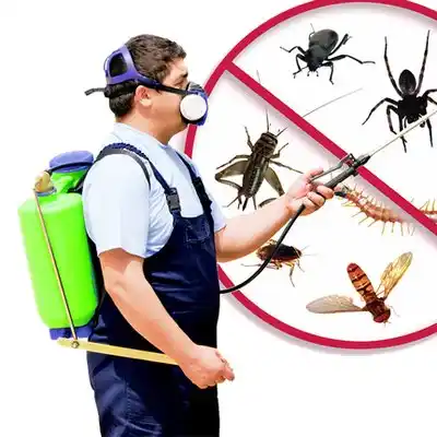pest control Whitmore Lake